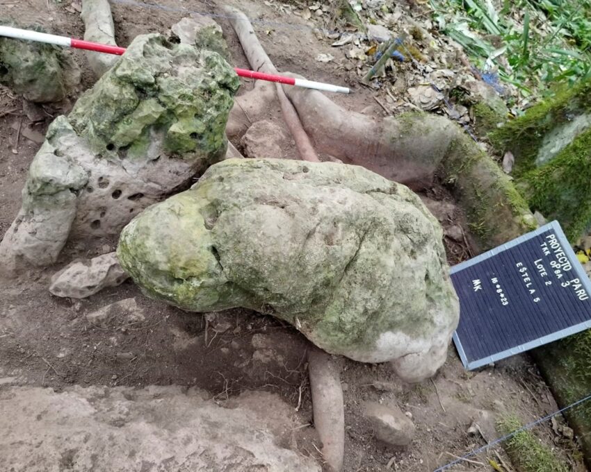 Технології - У джунглях Гватемали знайшли місто мая віком майже 3 тисячі років