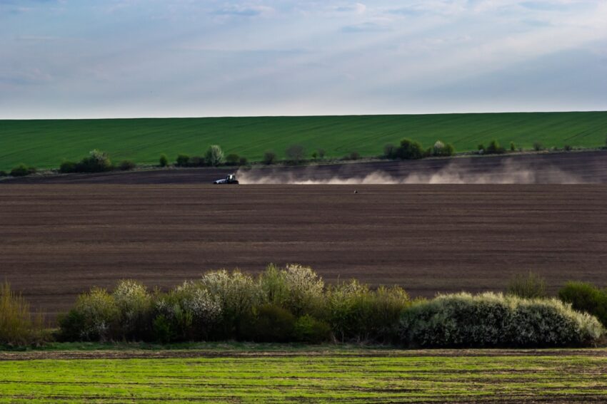 Новини бізнесу - Весняна сівба: аграрії виконали 76% плану