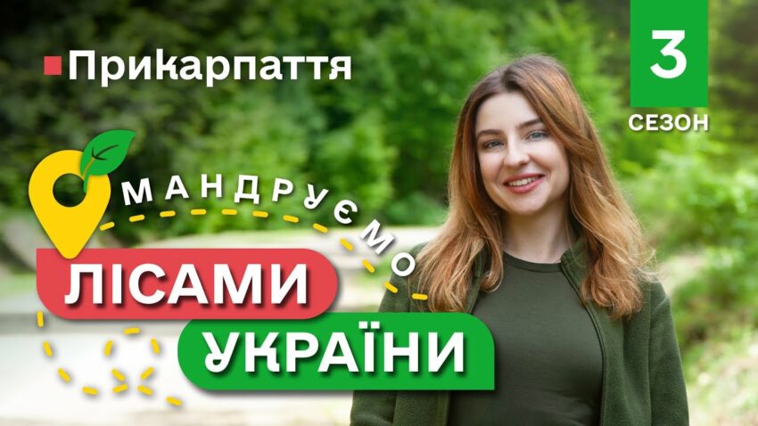 Карпатські ГОЛУБЦІ / унікальні локації КАРПАТ / Мандруємо ЛІСАМИ УКРАЇНИ #10 випуск