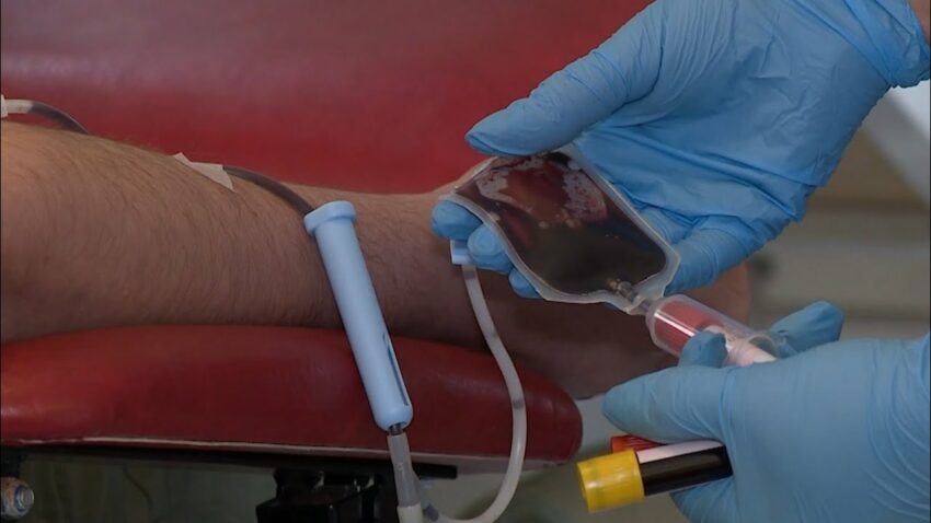 День донора у столиці