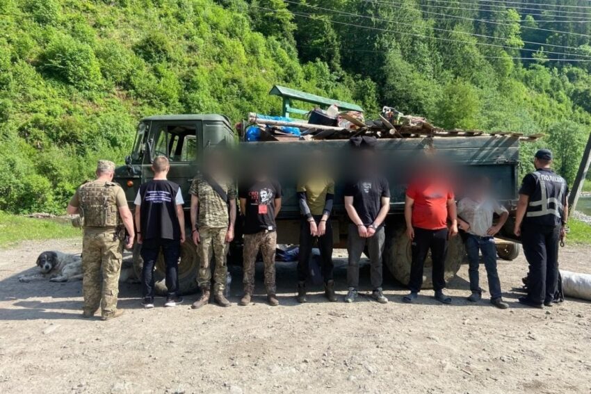 Новини України - Кози, свині й ухилянти - на Закарпатті викрили схему перевізників