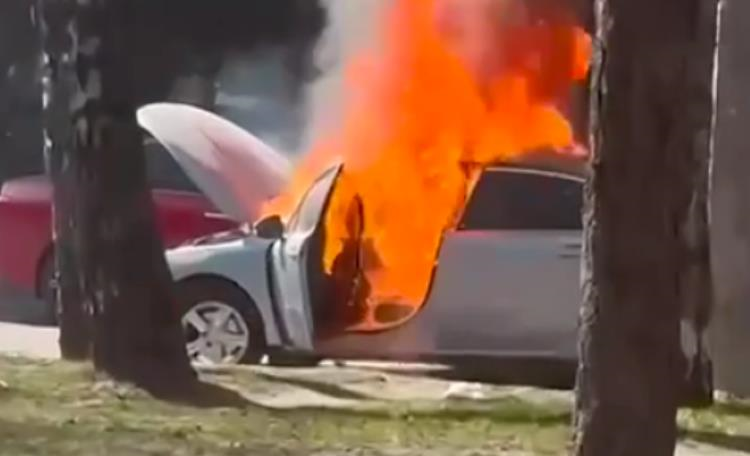 Новини України - Теракт біля ТРЦ Рівного: СБУ затримала підозрюваних