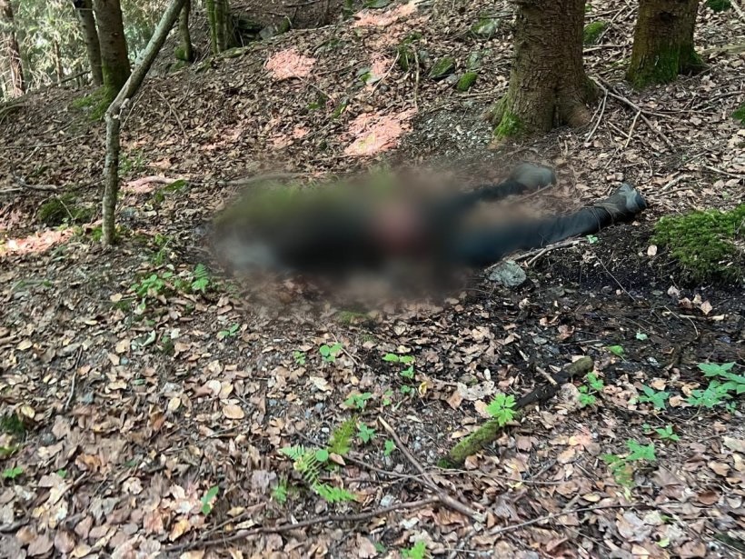 Новини України - Рятувальники виявили тіло людини у горах поблизу кордону з Румунією