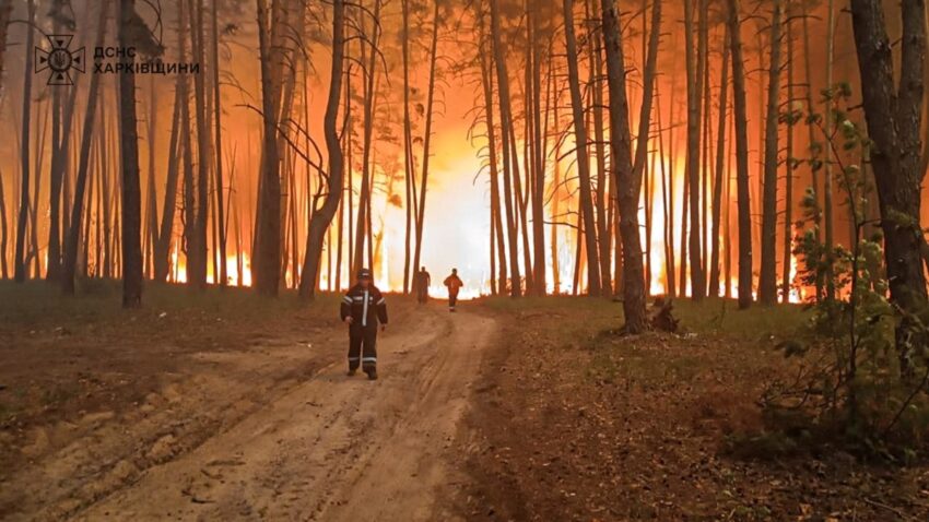 Новини України - Спека та недбалість спричинили сотні пожеж по Україні