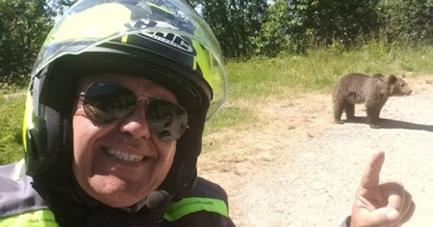 Новини світу - У Карпатах ведмідь загриз туриста після селфі з ним