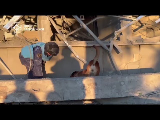 Запоріжжя: внаслідок ворожого удару постраждали 19 людей, одну особу врятували надзвичайники