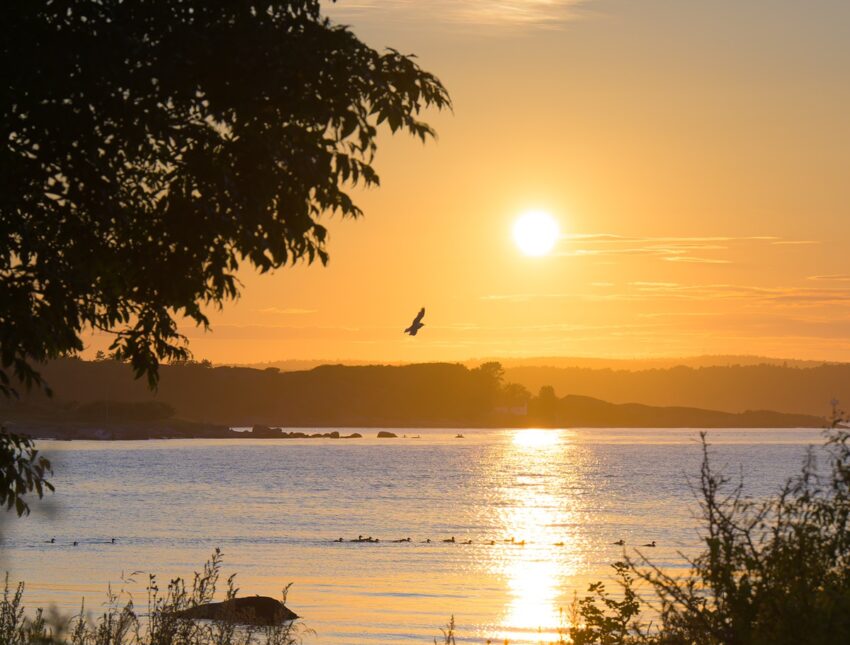 Новини світу - Липень став третім найспекотнішим за всю історію спостережень
