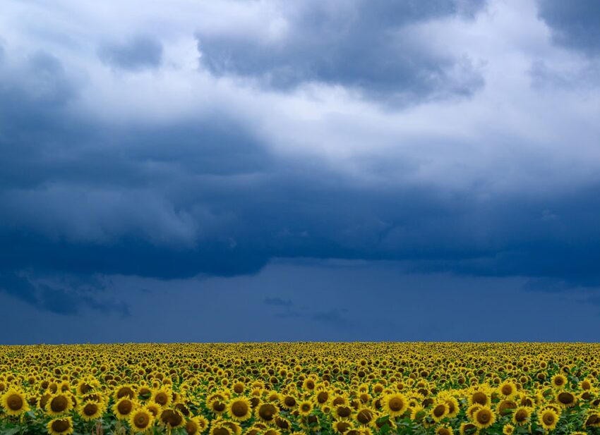 Новини України - В Україні прогнозують до +33&deg;, подекуди грози та град