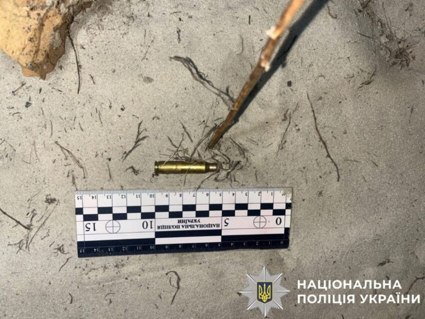 Новини України - Жителю Київщини загрожує до трьох років за вбивство алабая