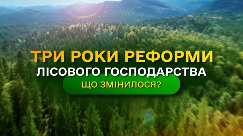 Результати ЛІСОВОЇ РЕФОРМИ - що отримала УКРАЇНА? / ДП "Ліси України"