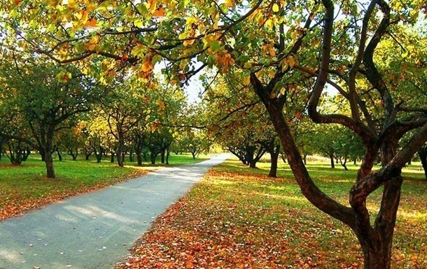 Новини України - Найближчими днями в Україні суха погода