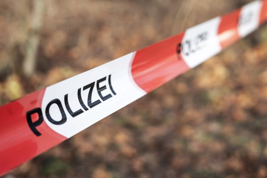 Новини світу - У Німеччині вбили 16-річну українку, штовхнувши під вантажний потяг