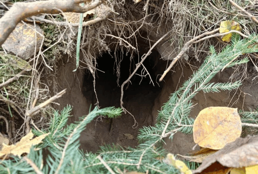 Новини світу - На кордоні між Польщею та Білоруссю виявили тунель