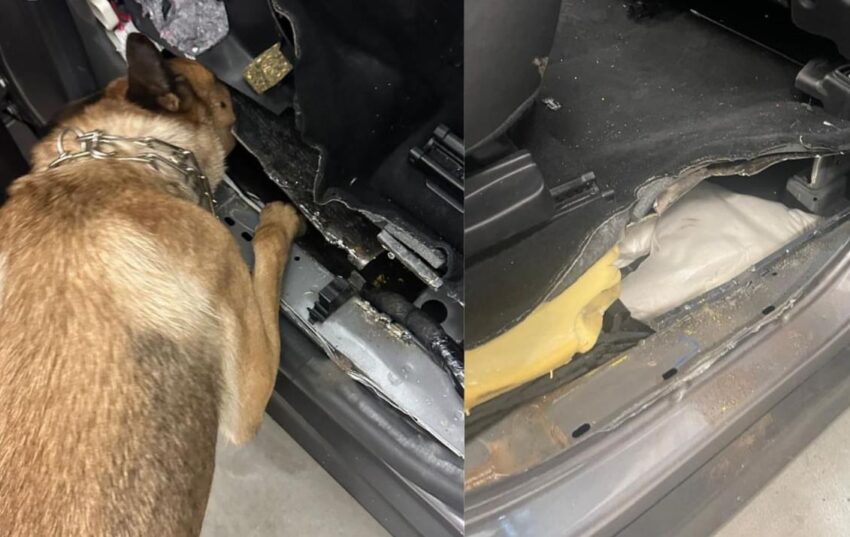 Новини України - На Львівщині в авто виявили 27 кг наркотиків з Польщі