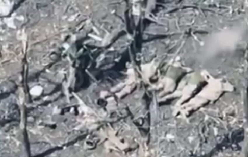 Новини України - Росіяни розстріляли п&rsquo;ятьох полонених бійців ЗСУ