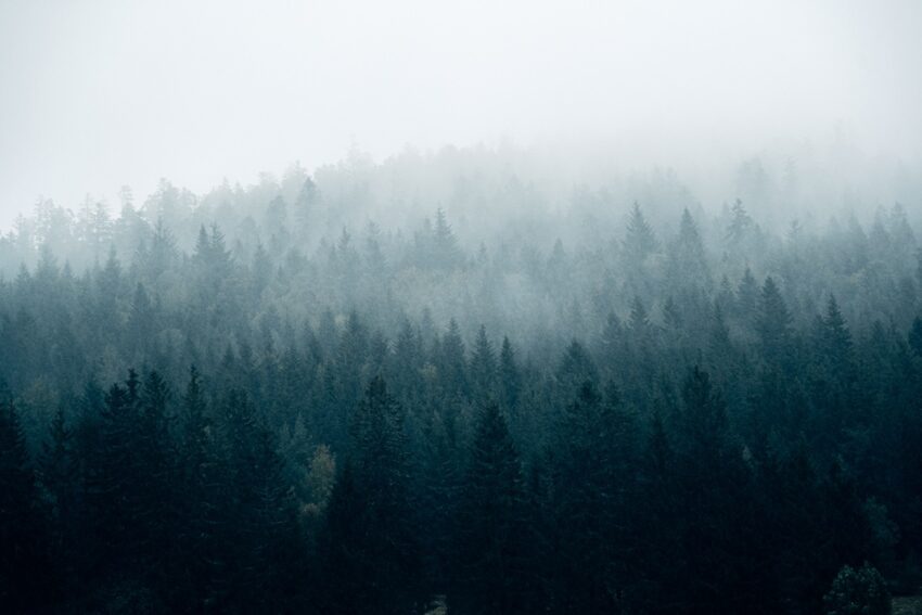 Новини України - Без опадів, але з туманами: погода на початку тижня