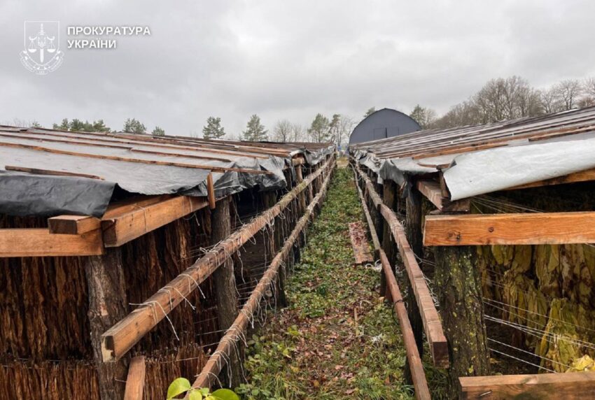 Новини України - На Хмельниччині викрили підпільне виробництво тютюну
