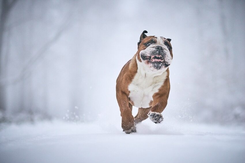Новини культури - Гороскоп для всіх знаків зодіаку на 15 січня 2026 року
